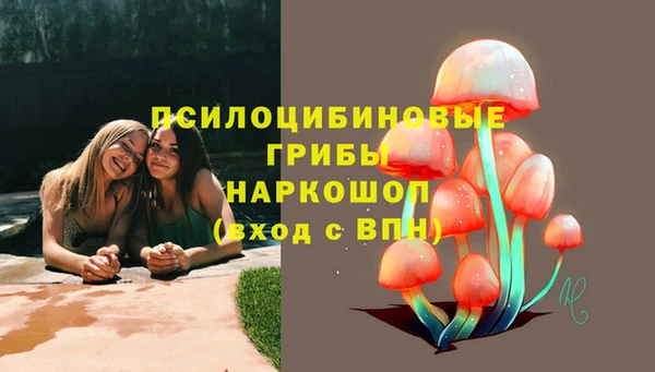 молекула духа Алексеевка