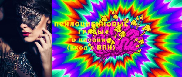 молекула духа Алексеевка