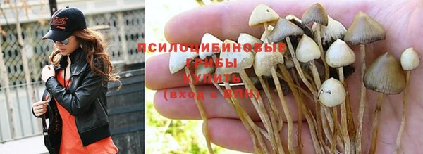 не бодяженный Протвино