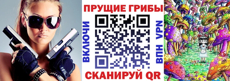 ОМГ ОМГ ТОР  Бежецк  Галлюциногенные грибы Psilocybe 