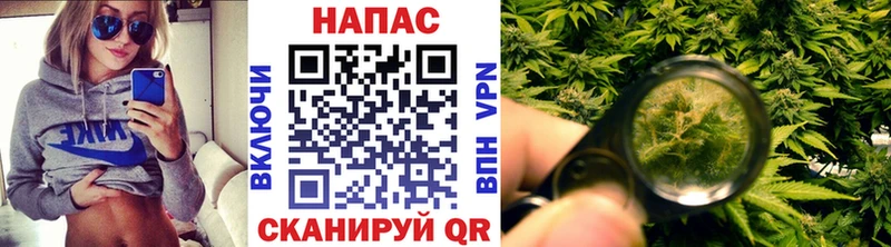 цена наркотик  Бежецк  маркетплейс официальный сайт  Марихуана конопля 